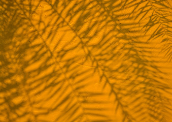 Texture of  palm leaves shadow on yellow concrete wall 