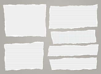 Torn of white lined, math note, notebook paper strips, pieces stuck on grey background. Vector illustration