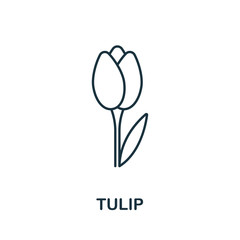 Tulip icon from garden collection. Simple line Tulip icon for templates, web design and infographics