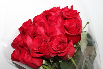 Beautiful red roses in a vase