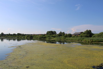 Rural pier and lake covered with green grass under a bright blue sky with clouds