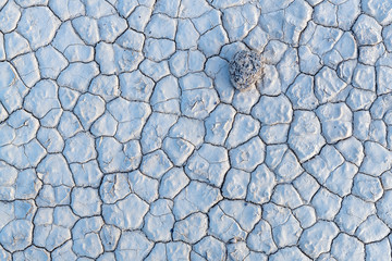 Close up of the dry surface of the Bonnie Claire Playa, Nevada, USA
