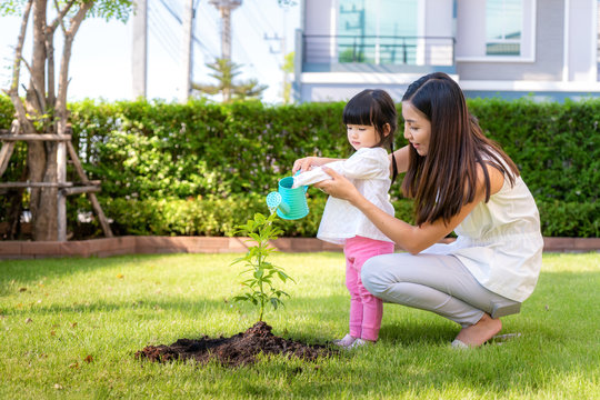 Asian Family Mother And Kid Daughter Plant Sapling Tree And Watering Outdoors In Nature Spring For Reduce Global Warming Growth Feature And Take Care Nature Earth. People Kid Girl In Garden.