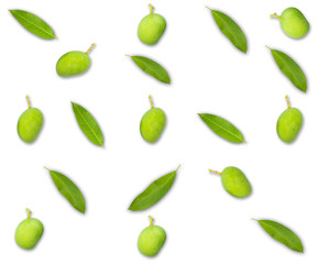 Mango and leaf isolated white background