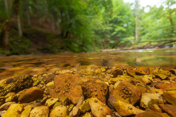 Underwater world of Plitvice Lakes National Park, Croatia