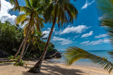 Obraz na płótnie Canvas Paradise, beautiful sand beach in Madagascar, ile Saint Marie. Island