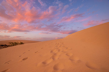Fototapeta na wymiar wonderful, dramatic sky over the sandy desert after sunset