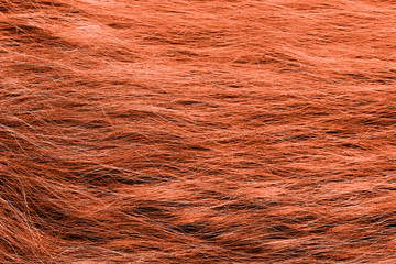 Red Hair Texture. High quality image.
