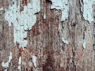  Wooden background with old peeling paint