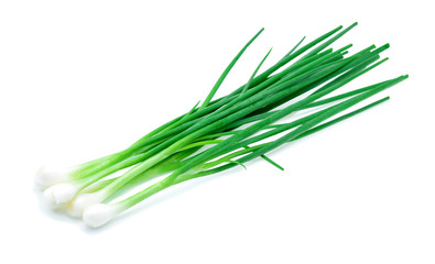 green onions isolated on white background