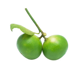 Lime Fresh  with leaf isolated on white background.
