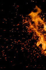 flame of fire with sparks on a black background
