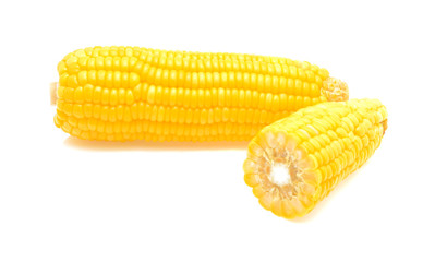 Boiled corn on white background