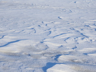 White snow and clear ice. Background