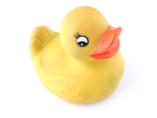 yellow rubber duck on a white background