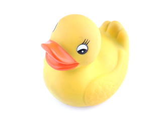 yellow rubber duck on a white background
