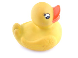 yellow rubber duck on a white background