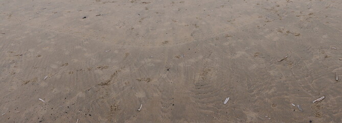 Traces in the sand, the traces are from footprints of humans, animals and wheeled vehicles, elongated conch shells and prints of small waves as the water retreated, Sandy seabed at low tide,