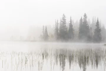 Fototapete Weiß Misty See und Wald, Dalarna, Schweden  © Mikael