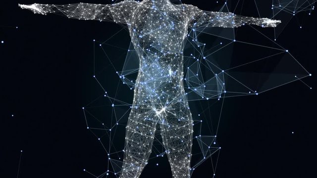 人体