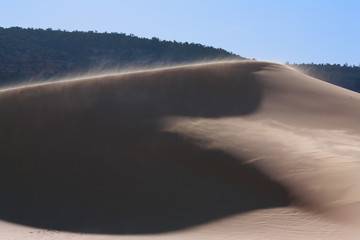 The breeze in reserve Coral sand dunes