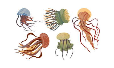 Jellyfish with Multiple Long Tentacles Isolated on White Background Vector Set