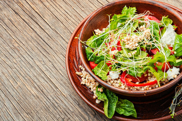 Vegetables salad of sprouted buckwheat