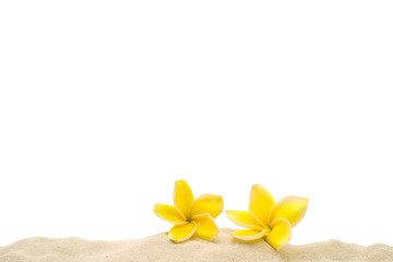 Fototapeta na wymiar Beautiful blossom yellow plumeria flower on sand beach against white background.