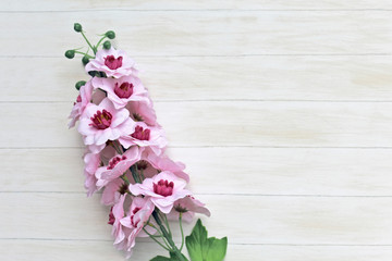 Beautiful flowers isolated on white background