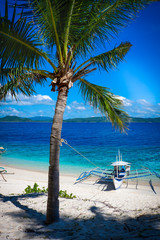 Boat under palm tree with a shadow. White sand beach in Malajon island, Coron, Philippines.