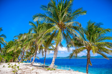 Fototapeta na wymiar Palms trees on the beach of Black (Malajon) island, Coron, Philippines. White sand and blue sky.