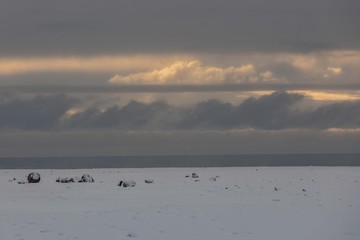 Solheimasandur Plane Wreck