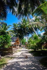 Fototapeta na wymiar Bamboo hut and palm trees on the beach. Coron island, Philippines
