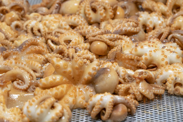 Grilled squid with soy sauce, Korean food