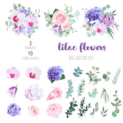 Flowers and mix of greenery big vector collection