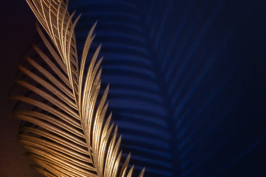 Glamor Golden tropical leaves and shadow on dark blue background, art deco style, selective focus