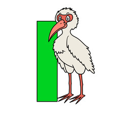 animal alphabet. capital letter I, Ibis. Raster illustration. For pre school education, kindergarten and foreign language learning for kids and children. For print and books, zoo topic.