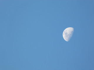 Fototapeta premium Moon in day