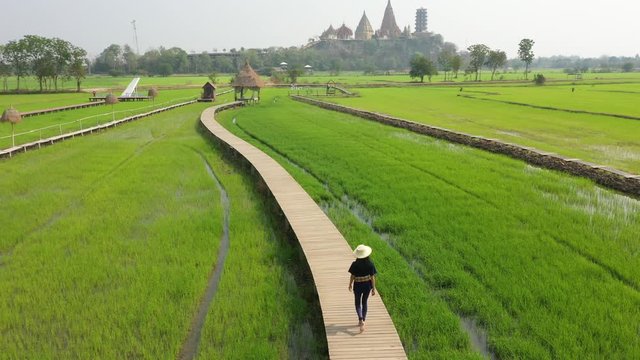Farmers walking on a wooden bridge See the beauty of rice plants at Tham Suea Temple, Kanchanaburi Province. Is an important tourist destination of Thailand
