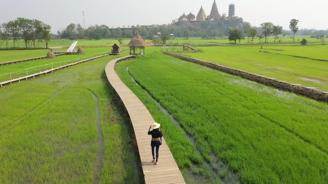 Farmers walking on a wooden bridge See the beauty of rice plants at Tham Suea Temple, Kanchanaburi Province. Is an important tourist destination of Thailand