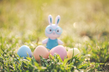 Easter eggs and Little Bunny on meadow.