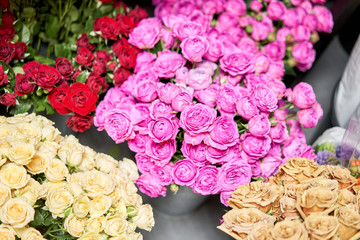 Warehouse refrigerator, Wholesale flowers for flower shops. Roses in a plastic container or bucket. Online store. Floral shop and delivery concept.