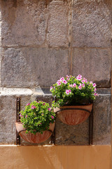Fototapeta na wymiar Exterior home decoration with flower pots of pink pelargonium
