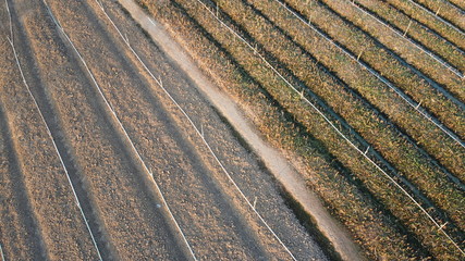 The plowed soil in vegetable plots With sprinkler systems and water pipes