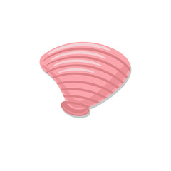 Pink shell in the style of a flat white background.
