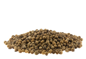 Coriander isolated on a white background close-up.