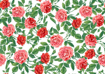 Seamless pattern with red roses flowers. Colored vector illustration. Isolated on white background.