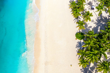 Aerial drone view of beautiful caribbean tropical island beach with palms. Saona, Dominican Republic. Vacation background. - obrazy, fototapety, plakaty