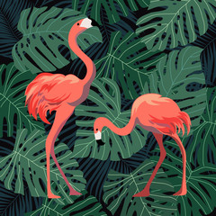 Pink flamingos on background with tropical leaves. Cartoon vector illustration