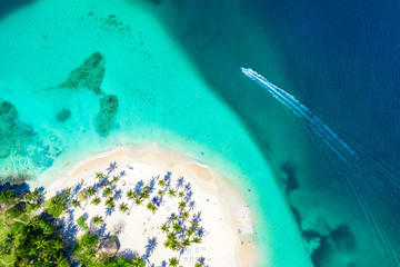 Aerial drone view of beautiful caribbean tropical island Cayo Levantado beach with palms and boat. Bacardi Island, Dominican Republic. Vacation background.